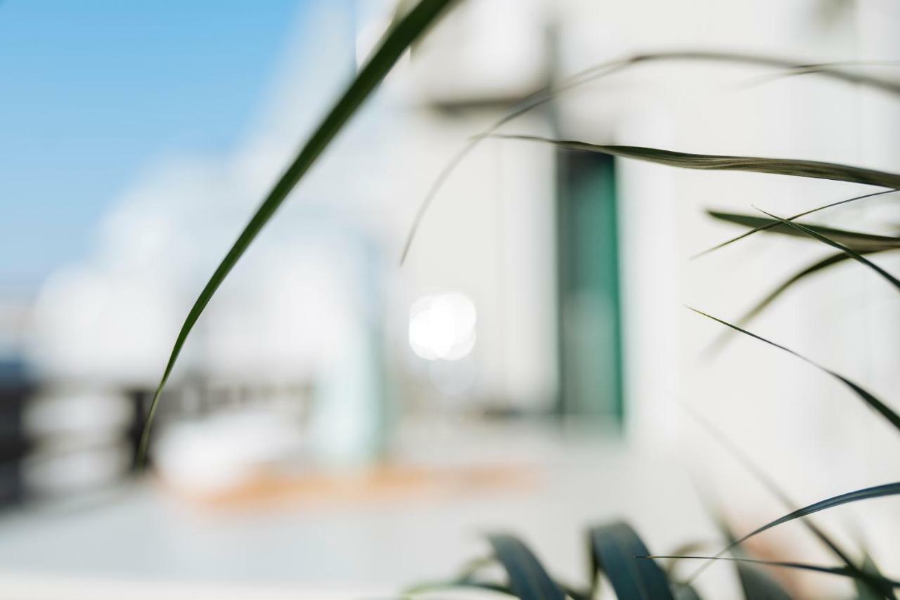 Brezoianu Spacious Flat Bukurešť Exteriér fotografie
